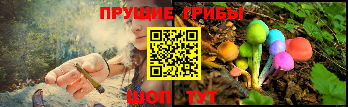 купить   Вход с VPN  Железноводск  Псилоцибиновые грибы ЛСД 